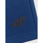 Mens sweatpants 4F 4FRSS26TSHOM0970-30S - Image 8
