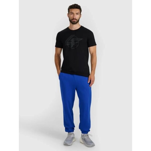 Mens sweatpants 4F 4FWAW25TTROM1272-36S