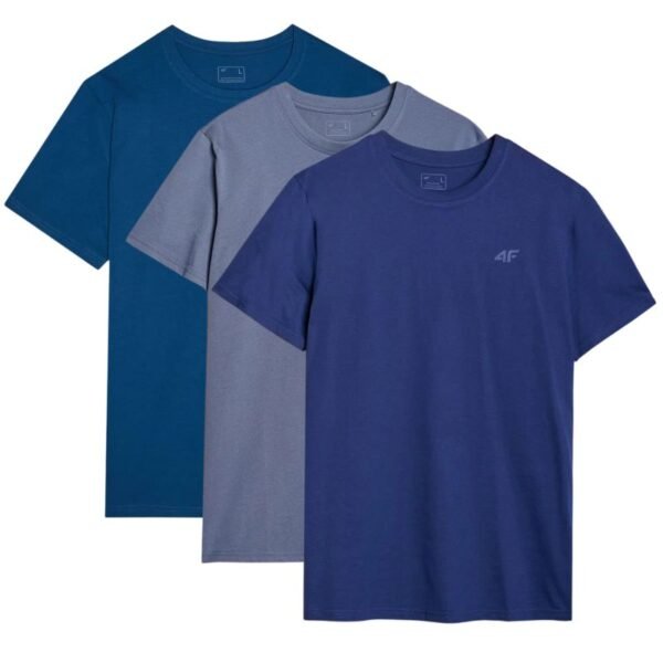Mens T-shirt (3-Piece Set) 4F 3P-SS-4FWMM00TTSHM2256-90S 3PACK