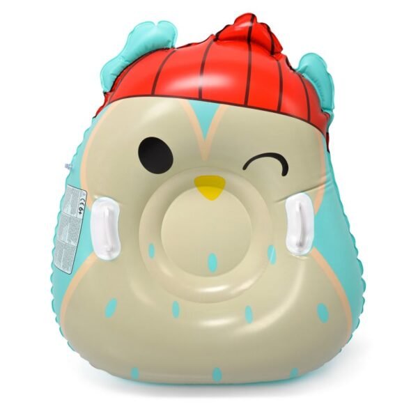 Meteor Owl Snow Slide 16765