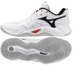 Mizuno WAVE MOMENTUM PRO V1GA254059 shoes