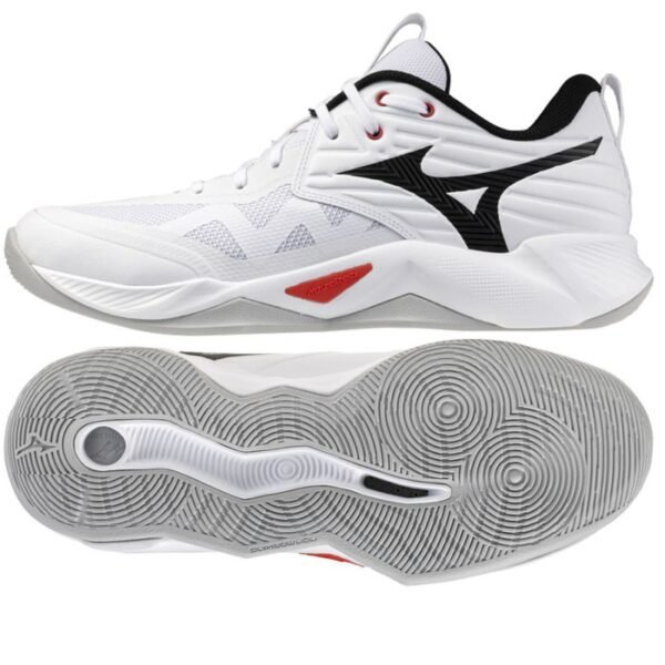 Mizuno WAVE MOMENTUM PRO V1GA254059 shoes