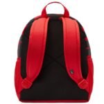 Nike Brasilia JDI Backpack DR6091-657 - Image 3