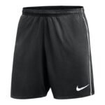 Nike Dri-FIT Park Shorts HM7146-010