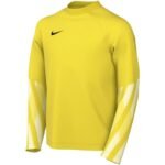 Nike Dri-Fit Park V Stadium Kids Jersey Yellow HV8318 718