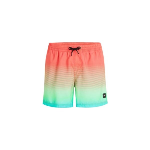 ONeill Jack Cali Gradient 15 Swim Shorts M 92800613575
