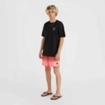 ONeill Jack Cali Gradient 15 Swim Shorts M 92800613579 - Image 8