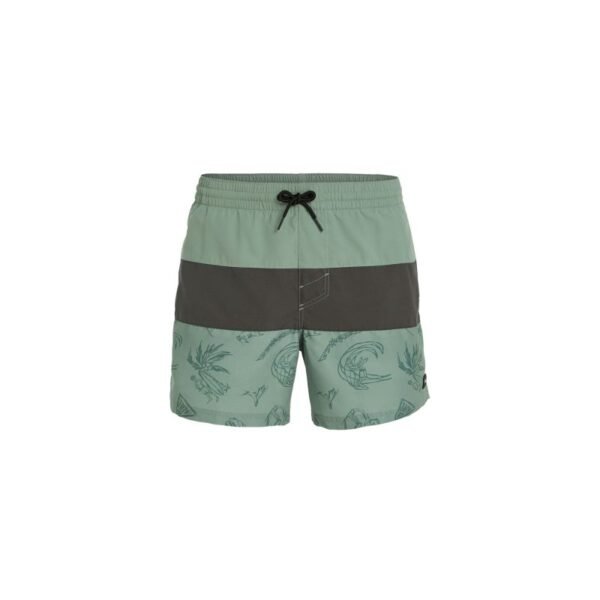 ONeill MixMatch Cali Block Swim Shorts 15 M 92800613820