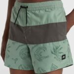 ONeill MixMatch Cali Block Swim Shorts 15 M 92800613820 - Image 5