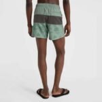 ONeill MixMatch Cali Block Swim Shorts 15 M 92800613820 - Image 6
