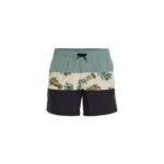 ONeill MixMatch Cali Block Swim Shorts 15 M 92800613824