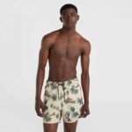ONeill MixMatch Cali Print 15 Swim Shorts M 92800613873 - Image 3