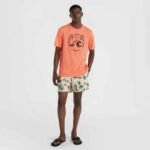 ONeill MixMatch Cali Print 15 Swim Shorts M 92800613873 - Image 6