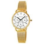 Pacific Chronograph X6180-3 Womens Watch