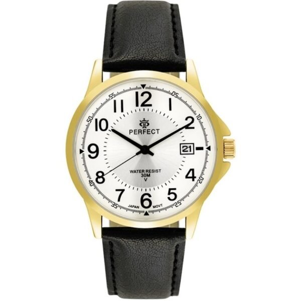 PERFECT C710T-09 Mens Watch