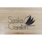 PICNIC BAR SET WOODEN TABLE AND 2 BENCHES - Image 8