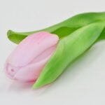 PINK TULIP 31CM LIFE-LIKE SPRING DECORATION - Image 3