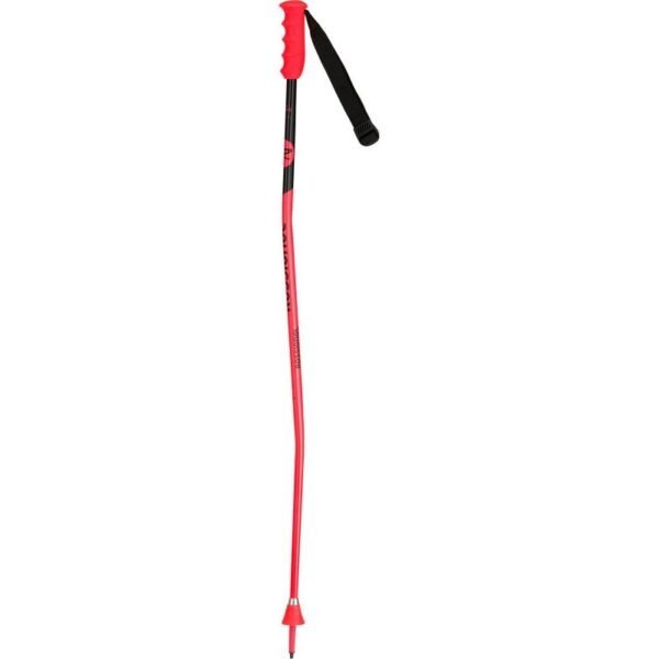 ROSSIGNOL HERO GS-SG JR Ski Poles