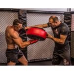 Round training target | 45 x 20 cm - Image 2