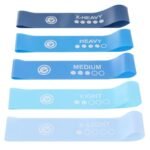 SET OF FITNESS CROSSFIT MINI BLUE BAND 5IN1 ENERO FIT - Image 4