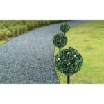 SET OF SOLAR LAMPS 3 BOXWOOD BALLS 27 LED - Image 5