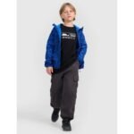Softshell jacket, windproof membrane 5000, boys 4F 4FJRAW25TSOFM508-90A - Image 3