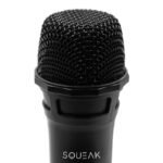 SQUEAK KARAOKE VOCALDUO MICROPHONE SET 2.4G SQ1007