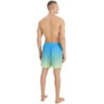 Swim shorts 4F M 4FWSS25UBDSM132 33S - Image 3