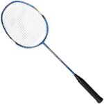 Techman Graphite 5002 T5002 Racket