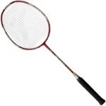 Techman Graphite 5006 T5006 Racket