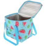THERMAL BAG 32x25x35 CM 28L FRUIT MELON ENERO CAMP - Image 2