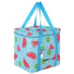 THERMAL BAG 32x25x35 CM 28L FRUIT MELON ENERO CAMP - Image 3