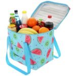 THERMAL BAG 32x25x35 CM 28L FRUIT MELON ENERO CAMP - Image 4