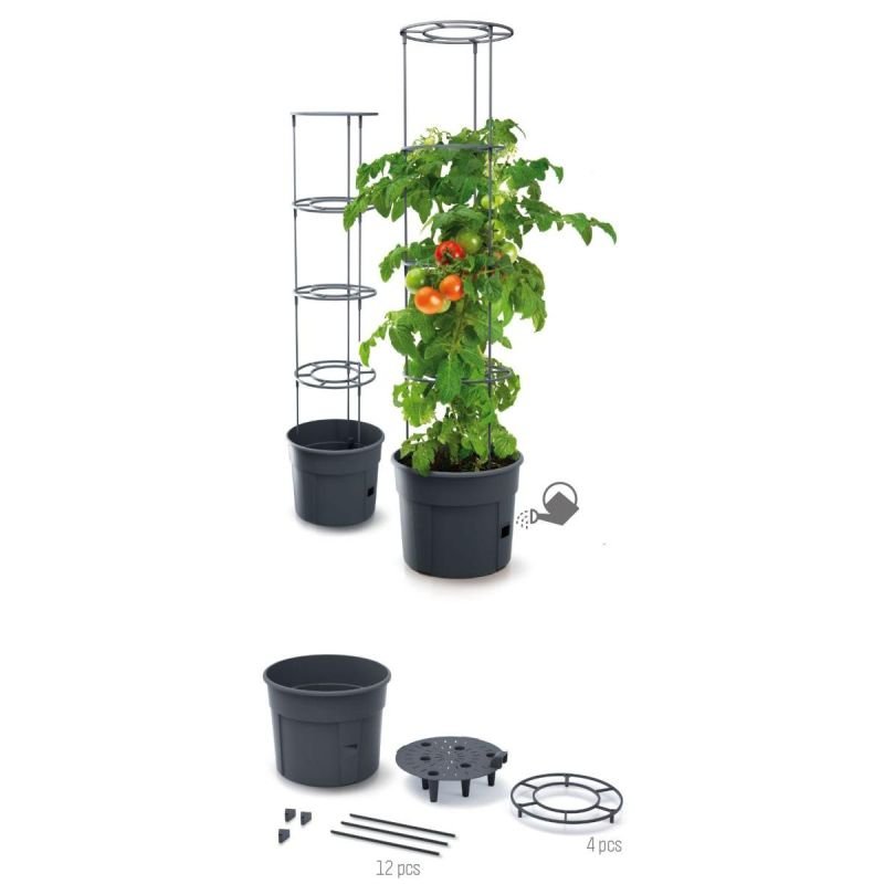 lupin-wear-ca-tomato-planting-pot-with-ladder-capacity-28l-1843548 TOMATO PLANTING POT WITH LADDER, CAPACITY 28L - Image 1