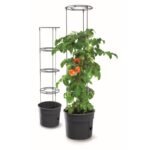 TOMATO PLANTING POT WITH LADDER, CAPACITY 28L - Image 7