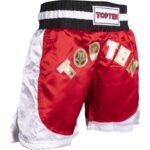 TOP TEN kick light shorts (WAKO APPROVED) - Image 3