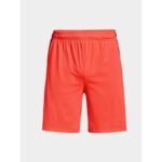 Under Armour M 1376955-877 Shorts