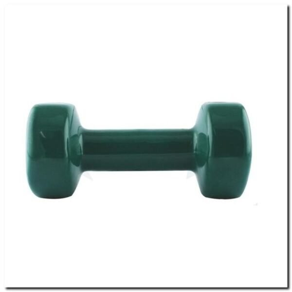 Vinyl-coated cast iron weight HMS 4.0 KG 17023