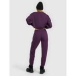 Womens jogger sweatpants 4F 4FRAW25TTROF1846-50S - Image 2