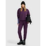 Womens jogger sweatpants 4F 4FRAW25TTROF1846-50S