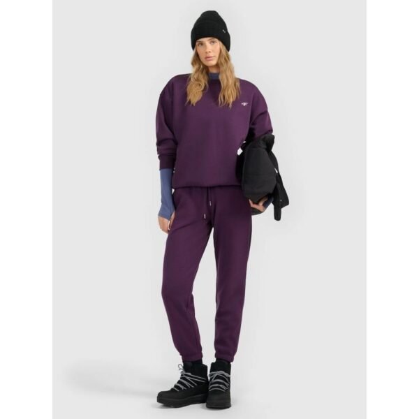 Womens jogger sweatpants 4F 4FRAW25TTROF1846-50S