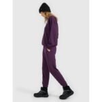 Womens jogger sweatpants 4F 4FRAW25TTROF1846-50S - Image 4