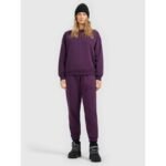 Womens jogger sweatpants 4F 4FRAW25TTROF1846-50S - Image 5