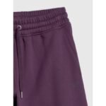 Womens jogger sweatpants 4F 4FRAW25TTROF1846-50S - Image 7
