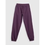 Womens jogger sweatpants 4F 4FRAW25TTROF1846-50S - Image 8