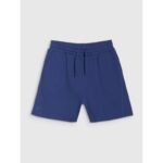 Womens sweatpants 4F 4FWSS25TSHOF529-30S - Image 6
