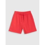 Womens sweatpants 4F 4FWSS25TSHOF529-62S - Image 4