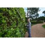 18v battery-free hedge trimmer OPT1845 RYOBI - Image 2