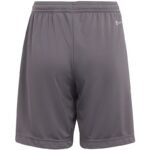 adidas Entrada 22 Jr H57507 Shorts - Image 2