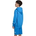 adidas Essentials Hoodie for kids blue KD3382 - Image 5